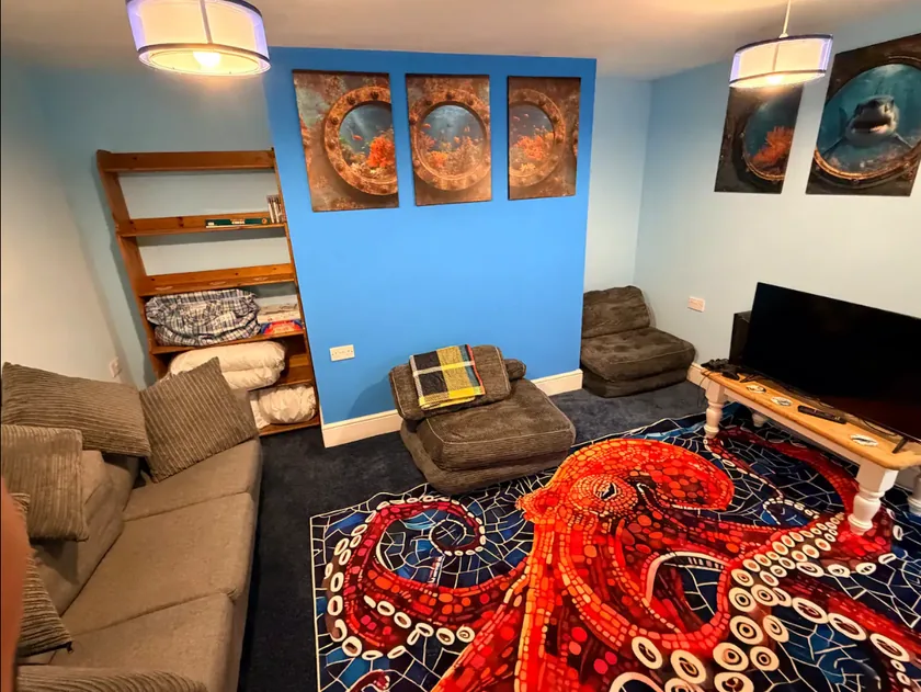 Basement room with fold-out seating, television, blue walls and an octopus-patterned rug.